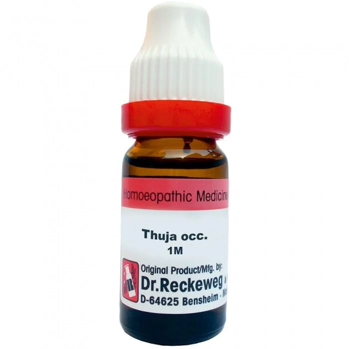 Dr R/W THUJA OCCIDENTALIS 1M 11ML