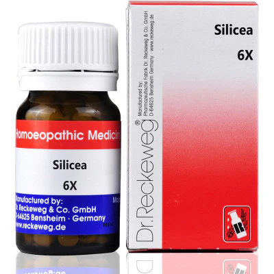 Dr. Reckeweg Silicea 6X (20g)