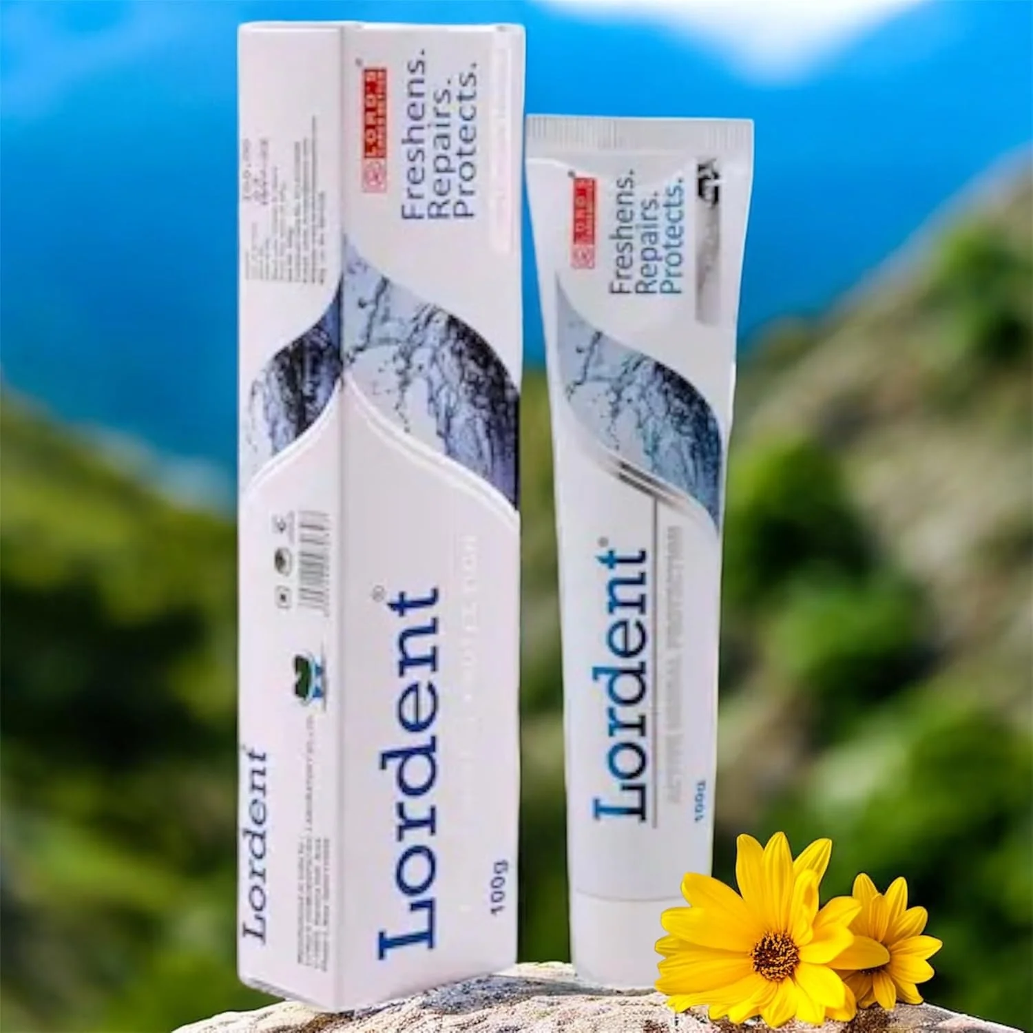 Lords Lordent ToothPaste Homeopathic Formulation 100gm || Pack Of 2