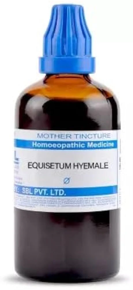 SBL Equisetum Hyemale Q - 100ml