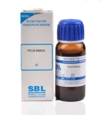 SBL Ficus Indica Q - 30ml