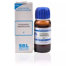 SBL Hydrangea Arborescens Q - 30ml