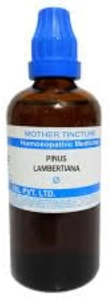SBL Pinus Lambertiana Q - 100ml