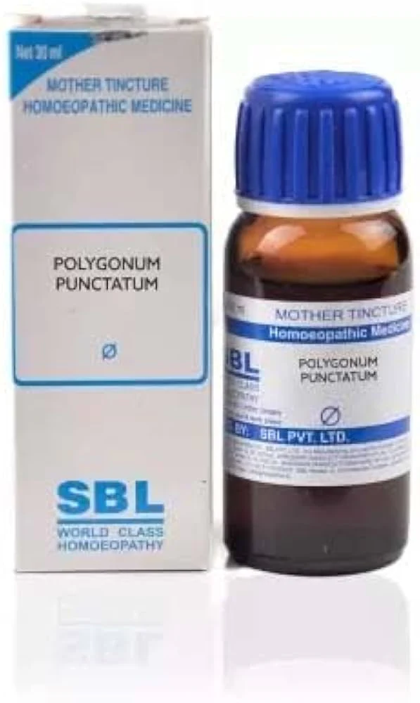 SBL Polygonum Punctatum Q - 30ml