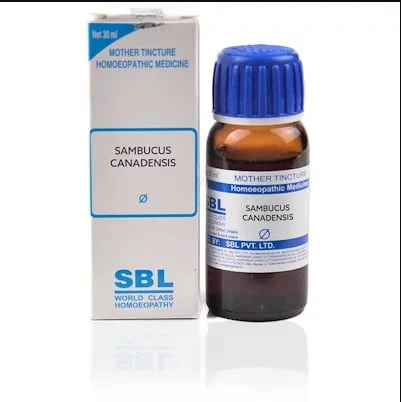 SBL Sambucus Canadensis Q - 30ml