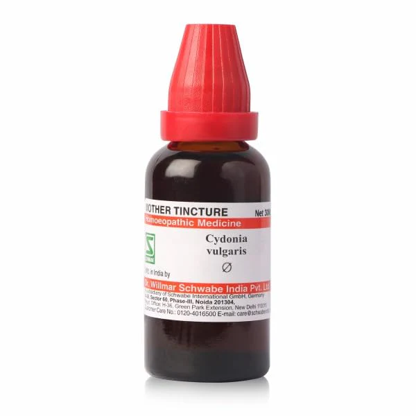 WSI Cydonia Vulgaris Q 30ml (Mother Tincture)